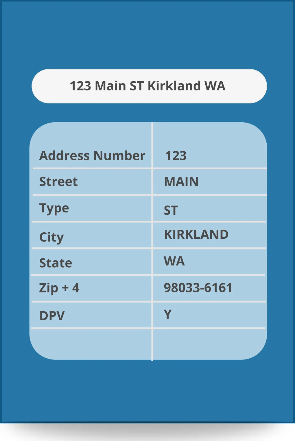 intellipins address verification